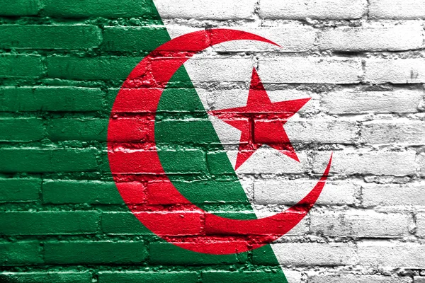 Algérie Drapeau peint sur un mur de briques — Photo