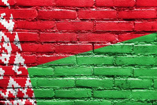 Belarus Flag painted on brick wall — Stock Photo, Image