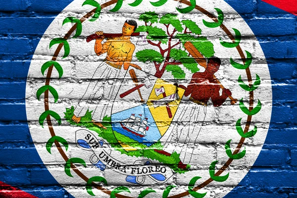 Belize-Flagge an Ziegelwand gemalt — Stockfoto