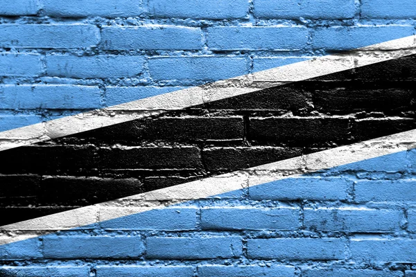 博茨瓦纳国旗画在砖墙上 — 图库照片
