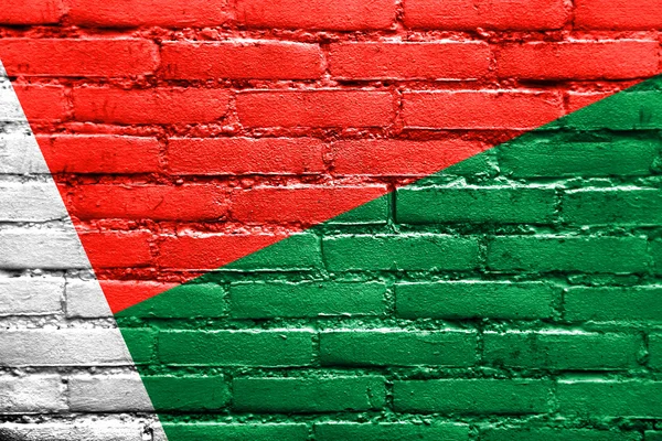 Bandera de Madagascar pintada en pared de ladrillo — Foto de Stock