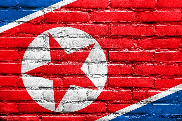 Coreia do Norte Bandeira pintada na parede de tijolo — Fotografia de Stock