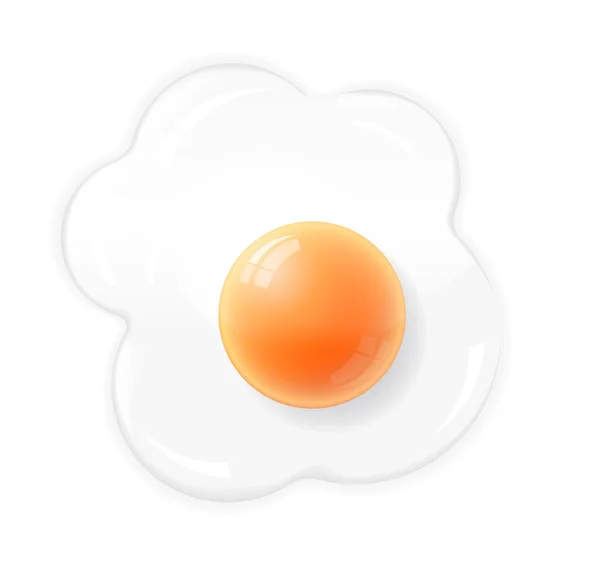 Fried egg isolated — Stock Vector