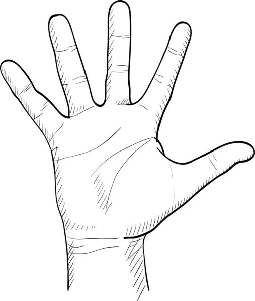 Hand dras mäns palm — Stock vektor