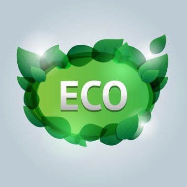 Eco etiket