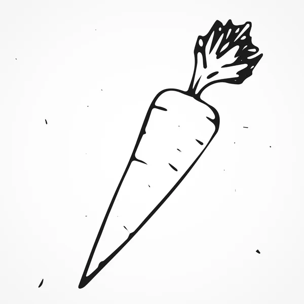 Zanahoria dibujada a mano — Vector de stock