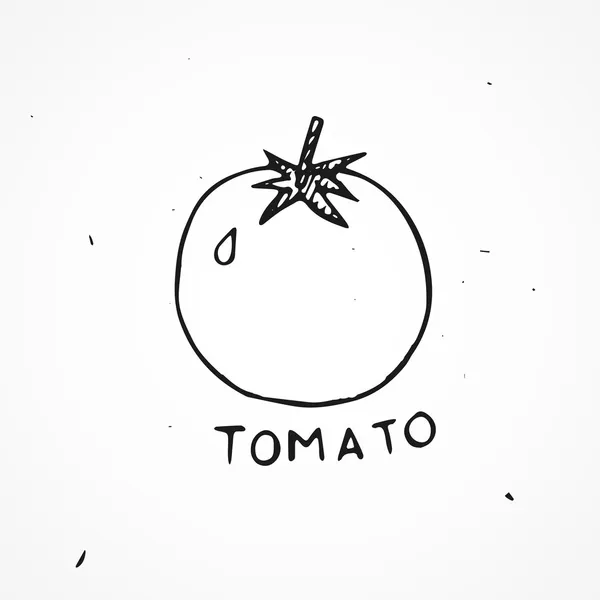Hand dras tomat — Stock vektor