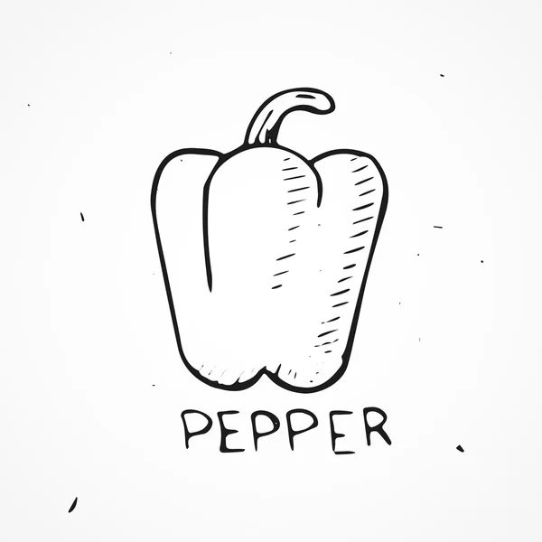 Pimiento dibujado a mano — Vector de stock