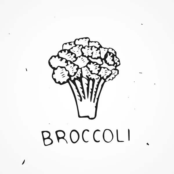 Brócoli dibujado a mano — Vector de stock