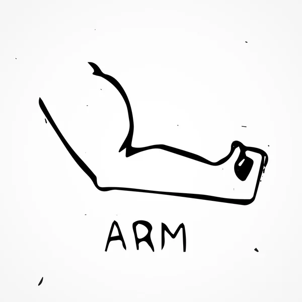 Hand getrokken biceps — Stockvector