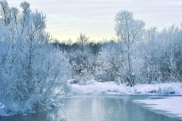 Winter landscape of the river in a light haze at dawn with shrubs and trees covered with thick frost. Background — Stock Photo, Image