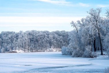 View of the snow-covered forest around the frozen lake. Frost covers the branches of trees. Picturesque winter landscape. Background