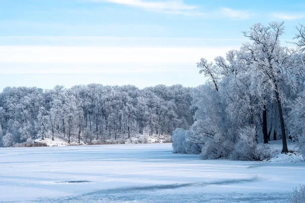 View of the snow-covered forest around the frozen lake. Frost covers the branches of trees. Picturesque winter landscape. Background — Stock Photo, Image