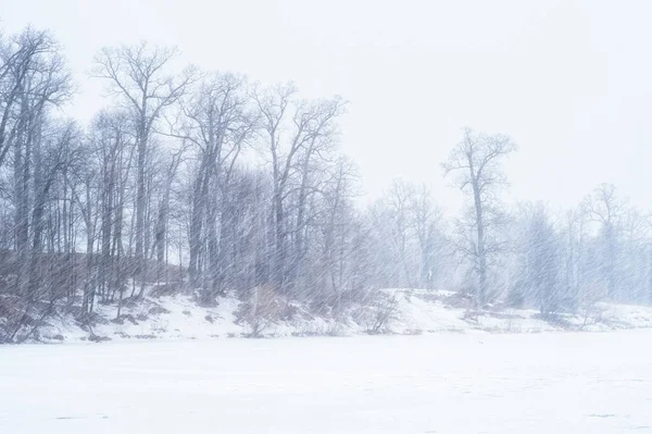 Winter Landscape Lake Oak Grove Heavy Snowstorm Background — Stock Photo, Image