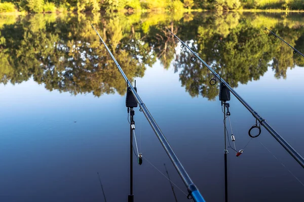 Las cañas de pescar en una fila sobre un fondo de agua azul con un reflejo de un bosque verde por la mañana. Contexto — Foto de Stock