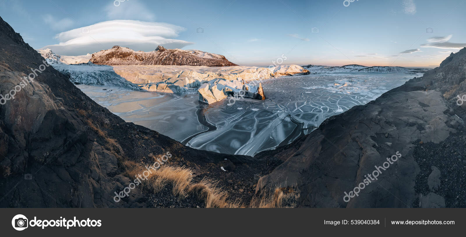 TOP 10 BEST Aquarium Restaurant near Lake Mary, FL 32746 - Updated 2026 -  Yelp, image size:1600x815