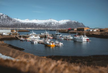 Djupivogur fishing village full of colorful boats in Iceland. Winter scenery with snow capped mountains. clipart
