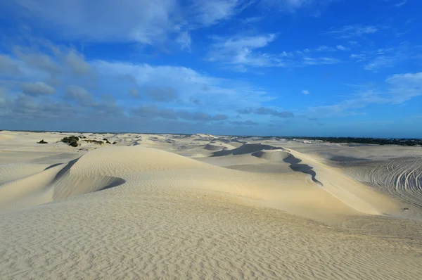 Valkoinen hiekkadyynit typen luonnonsuojelualue — kuvapankkivalokuva