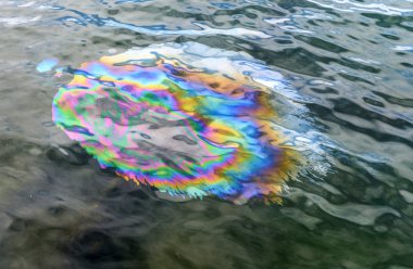 uss arizona Anıtı pearl harbor Hawaii yağ tabakası