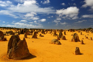 Pinnacles çöl, Avustralya
