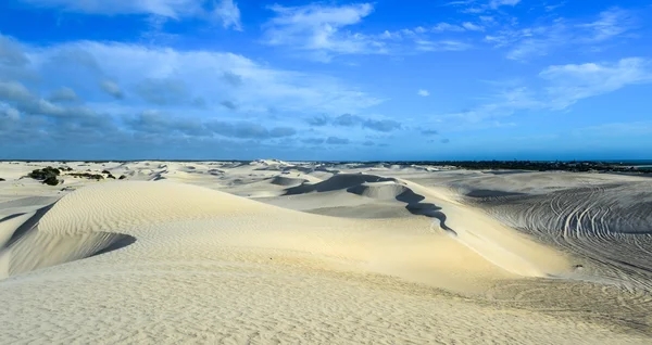 Dunas de arena blanca de la Reserva Natural de Nilgen —  Fotos de Stock