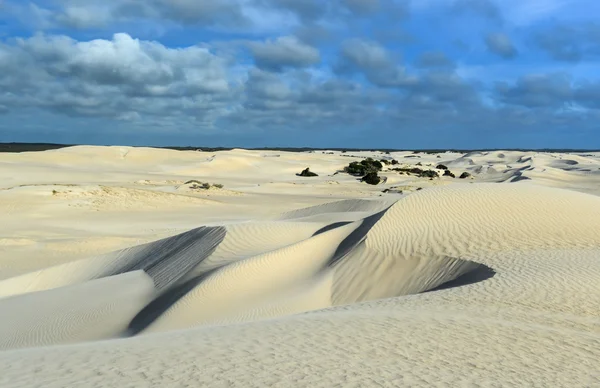 Dunes de sable blanc de la réserve naturelle de Nilgen — Photo