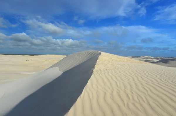 White sand dunes of Nilgen Nature Reserve — Stock Photo, Image