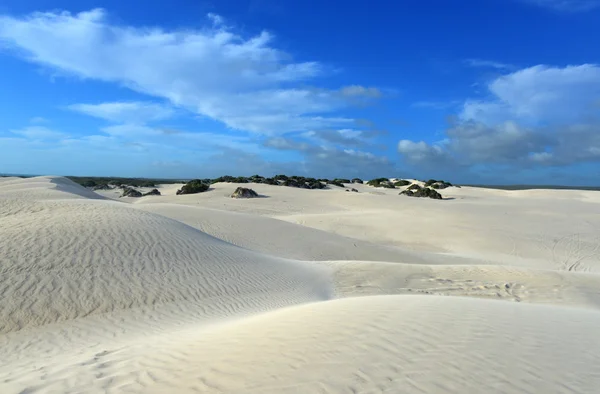 Dunas de areia branca da Reserva Natural de Nilgen — Fotografia de Stock