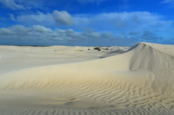 Dunes de sable blanc de la réserve naturelle de Nilgen — Photo