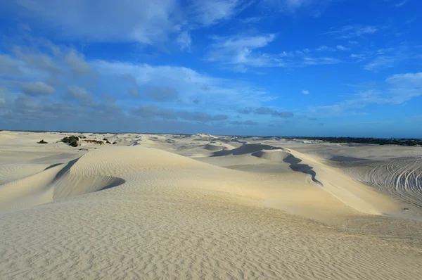 White sand dunes of Nilgen Nature Reserve — Stock Photo, Image