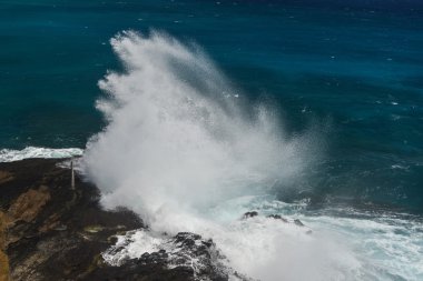 halona darbe delik oahu, hawaii plajda
