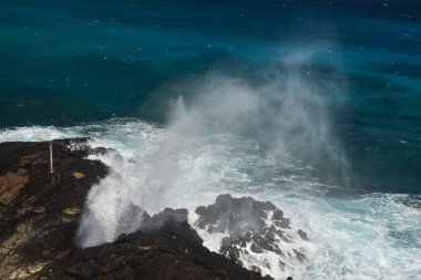 halona darbe delik oahu, hawaii plajda