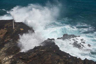 halona darbe delik oahu, hawaii plajda