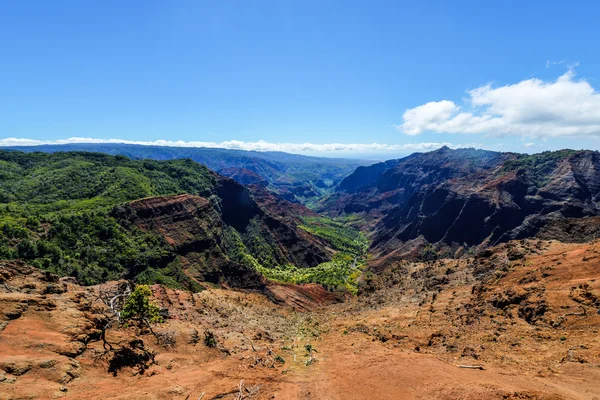 Puu hinahina, kauai na Hawajach — Zdjęcie stockowe