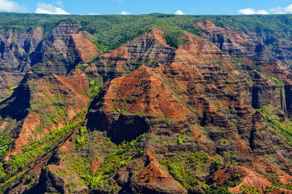 Waimea canyon v kauai, Havajské ostrovy — Stock fotografie