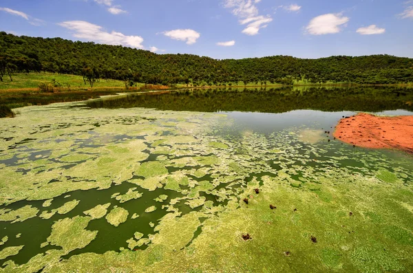 Cratere di meteorite Tswaing riserva — Foto Stock