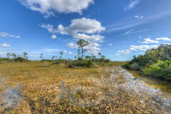 Γραφικό τοπίο Φλώριδα everglades — Φωτογραφία Αρχείου