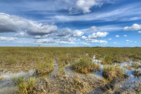 Landschaftlich reizvolle Landschaft Floridas Everglades — Stockfoto