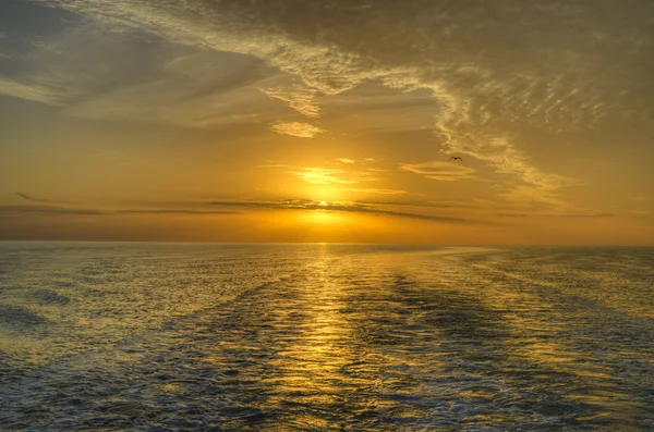 Solnedgång på vatten everglades, florida — Stockfoto
