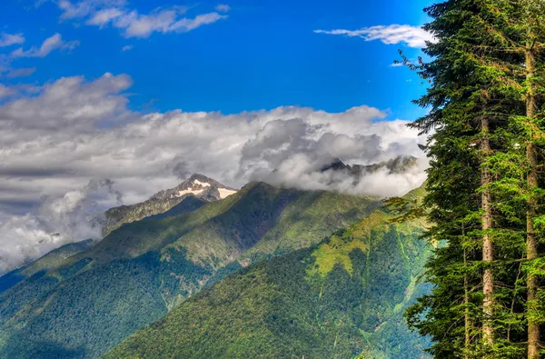 Krasnaya polyana Kayak resort, sochi, Rusya Federasyonu