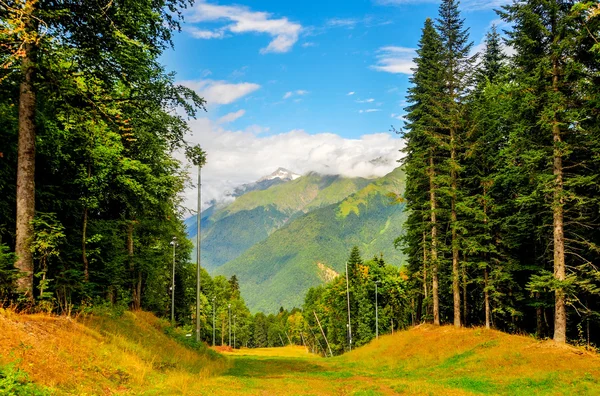 Krasnaya polyana ski resort, sochi, Ryssland — Stockfoto