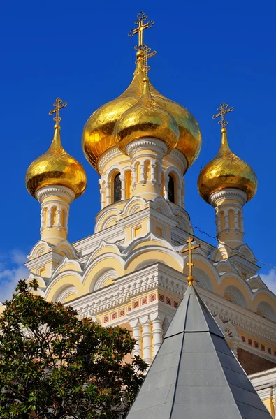 金葱的亚历山大涅夫斯基大教堂的圆顶 — 图库照片
