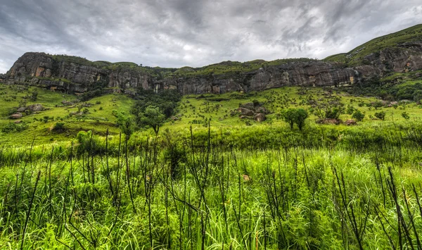 Landscape of Giants Castle Game Reserve — Stock Photo, Image