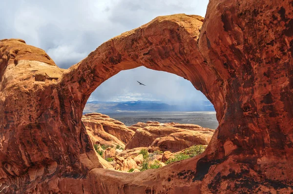 Pájaro volando por la parte superior del arco doble O — Foto de Stock