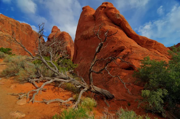 Dramatic Landscape of Arches National Park — Stock Photo, Image