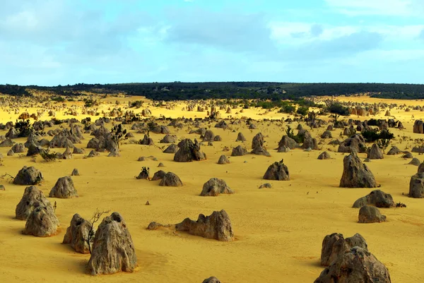 Deserto de Pinnacles, Austrália — Fotografia de Stock