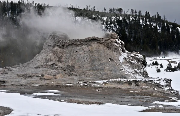 黄石公园的Geyser — 图库照片