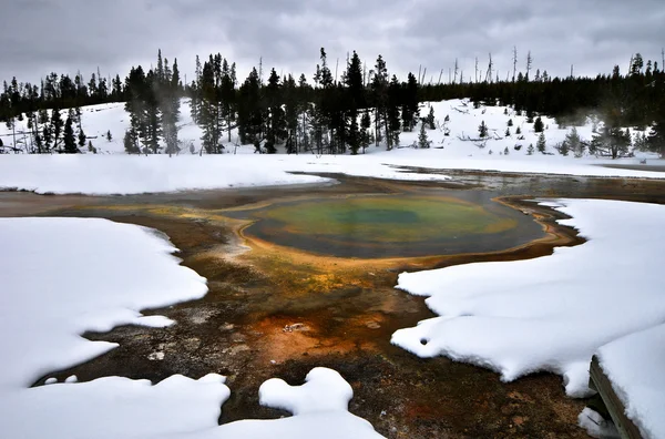 Geyser dans le parc national Yellowstone — Photo