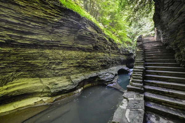 Watkins Glen State Park, New York — Photo