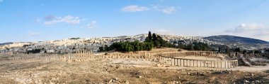 Jerash - Oval Forum clipart